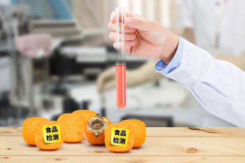 史上最嚴《四川省中小學校食品安全管理辦法》正式實施，守護學生餐飲服務(wù)安全